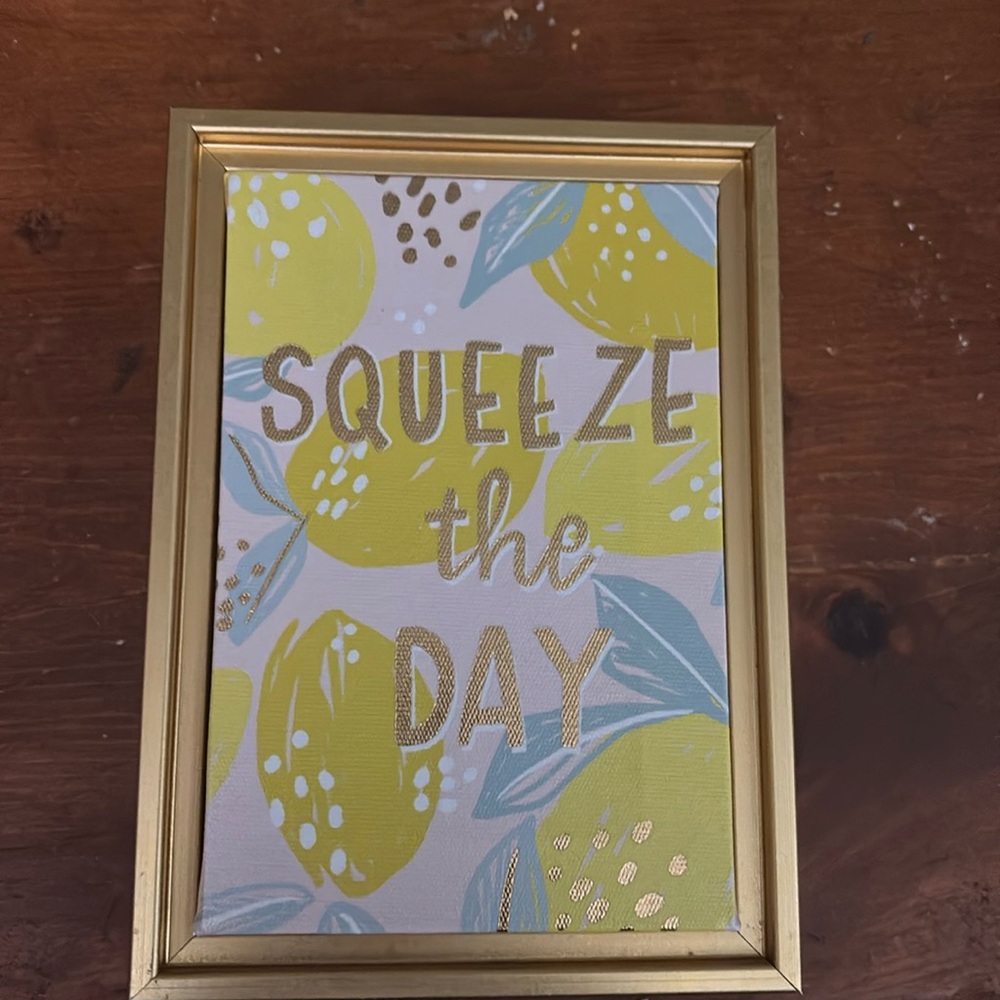 squeeze the day framed canvas print